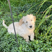 Profile Picture of Daniel Bennett  (@Daniel-Bennett) on Youtube