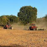 Jeremy McCartney - Instagram Profile Picture of Jeremy McCartney (@jeremymccartney) on Instagram