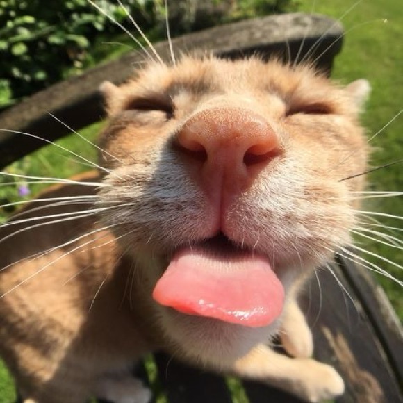 Profile Picture of Jayda Conover (@iimaginejay) on Poshmark