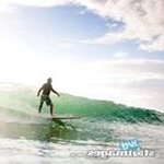 Jim Swinton - Instagram Profile Picture of Jim Swinton (@surfbroker) on Instagram