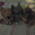 Gladys Richard - Instagram Profile Picture of Gladys Richard (@francoise.faviere) on Instagram