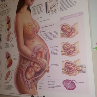 Profile Picture of Jeanmarie Fergile (@jeanmarie.fergile.1) on Facebook