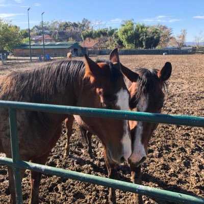 Profile Picture of Reid Gibson (@ReidGibson6) on Twitter