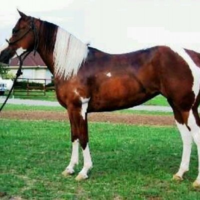 Profile Picture of Reinaldo Rodriguez (@zacarias555) on Twitter