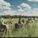 Profile Picture of Jaime Arbona (@jaime_arbona) on Instagram