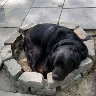 Profile Picture of Wanda Curtis (@wandacurtis) on Instagram