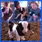 Profile Picture of Cody Dobbs (@cody.dobbs.90) on Facebook
