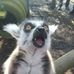 Profile Picture of Craig MacGregor (@craig.macgregor.98837) on Facebook