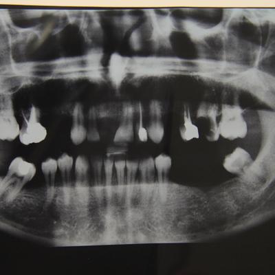 Profile Picture of Fabio Lopez (@fabiolopez4) on Twitter