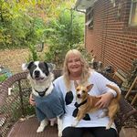 Profile Picture of Lena Watson Osment (@gypsylenna) on Instagram