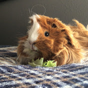 Profile Picture of Luke Day (@lukeday7) on Youtube