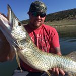 Profile Picture of Paul Eitzen (@pauleitzen) on Instagram