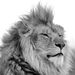 Profile Picture of Andrés Tobón (@Andresslow) on Pinterest