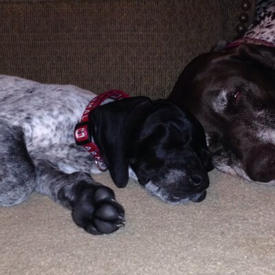 Profile Picture of Lora Richardson (@lrichardson012) on Twitter