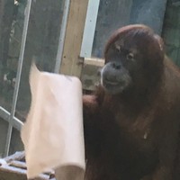 Profile Picture of Tommy Wei (@tommy-wei-3) on Quora