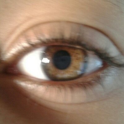 Profile Picture of Randall Lloyd (@RandallLloyd288) on Twitter