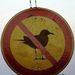 Profile Picture of Toni Reid Mitchell (@tonimitch) on Pinterest