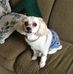 Profile Picture of Tracy Hepner (Boyd) (@tracy.hepner.9) on Facebook