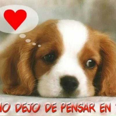 Profile Picture of Guillermo Tejeda (@maypiero32) on Twitter