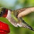 Profile Picture of Joann Post (@joann.post.75) on Facebook