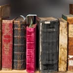 Profile Picture of Forest Fox (@forestfoxhas) on Facebook