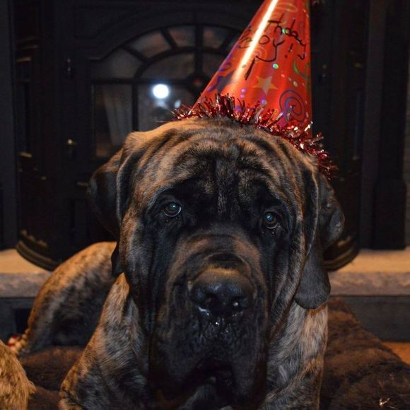 Profile Picture of Mary Ariniello (@maryariniello1) on Poshmark