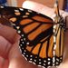 Profile Picture of Heather Schellenberg (@schellenberg01) on Pinterest