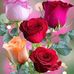 Profile Picture of Minerva Aviles (@minerva.aviles.18) on Facebook