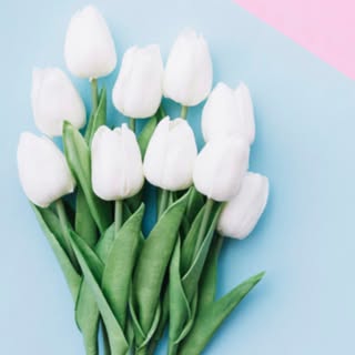 Profile Picture of Arianna (@stumbodanielle) on Instagram