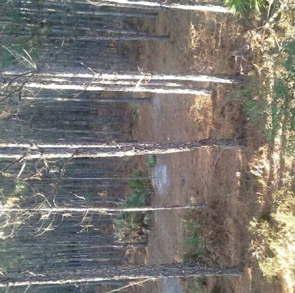 Profile Picture of Savannah Blanton (@vanna730) on Poshmark