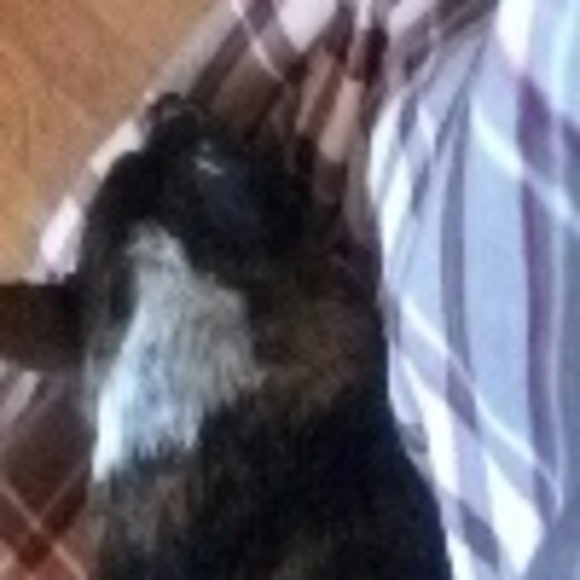 Profile Picture of Rita Bailey (@simon9370) on Poshmark