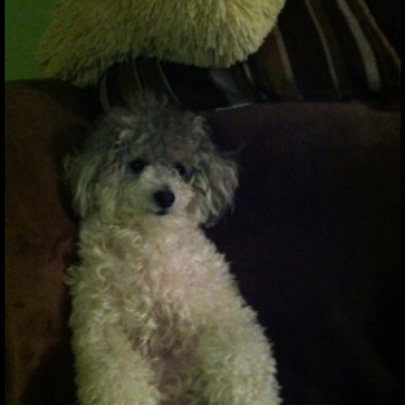 Profile Picture of Maria Afuang (@mamirasol) on Poshmark