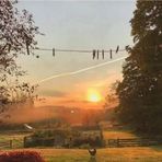 Profile Picture of Lea Maric (@lea.maric.923) on Facebook