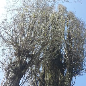 Profile Picture of Ale Wetter (@aleerik) on Myspace