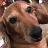 Profile Picture of janetchacon (@@janetchacon) on Tiktok
