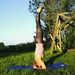 Profile Picture of Auli Junikka (@aulijunikka) on Pinterest