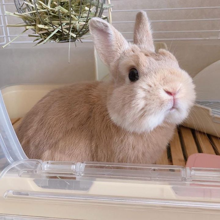 Profile Picture of 典型的なB型 (@cureikaty) on Tiktok