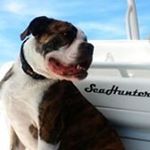 Profile Picture of Chris Wayman (@cbwayman) on Instagram