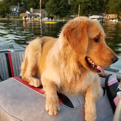 Profile Picture of Dan Clodfelter (@danclodfelter) on Twitter