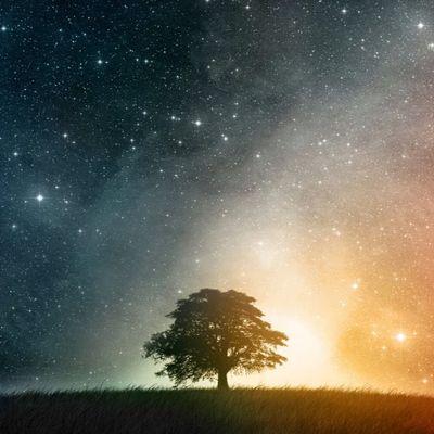 Profile Picture of Dina I Hansen (@DinaIH_) on Twitter