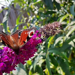 Profile Picture of davidkloosterman (@davidkloosterman) on Tiktok