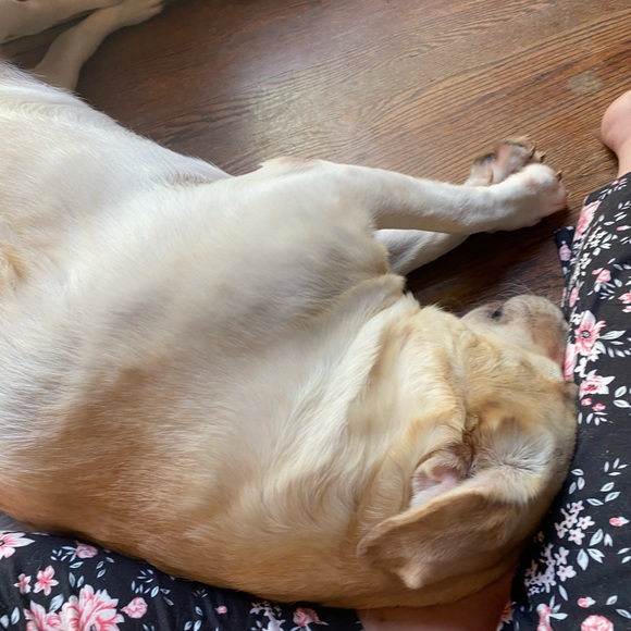 Profile Picture of Cecilia Albregts (@ceciliaalbr2021) on Poshmark