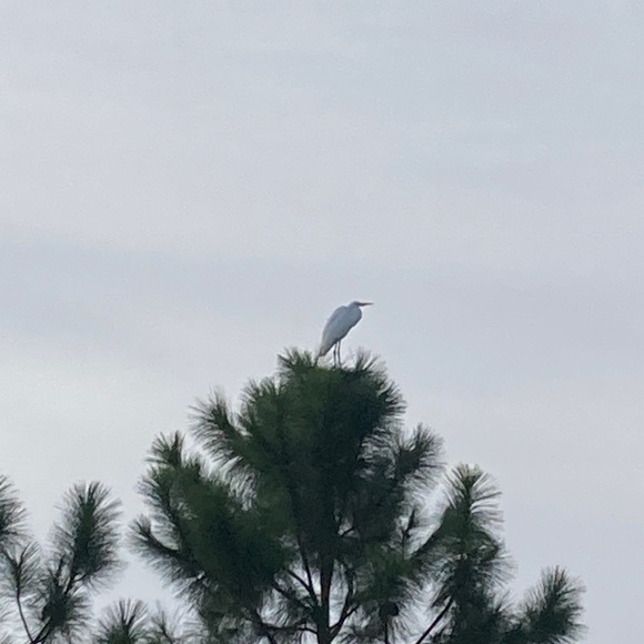 Profile Picture of Makayla Matthews (@mmmmatthews) on Poshmark