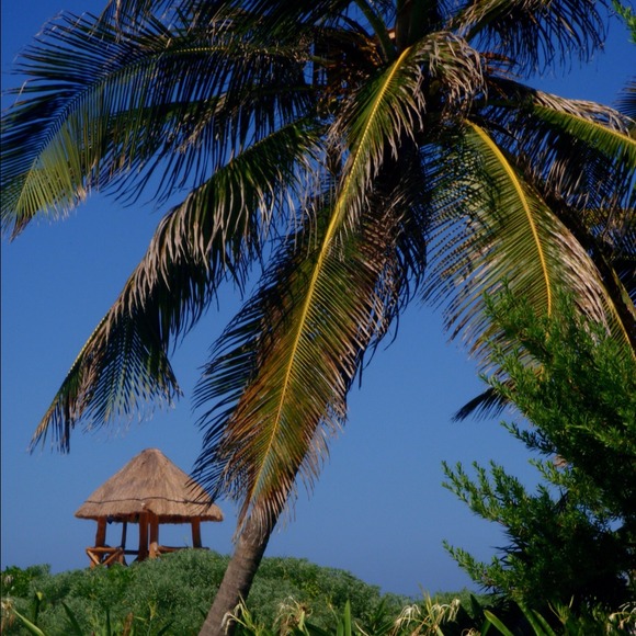 Profile Picture of Jen Metrano (@jlm4180) on Poshmark