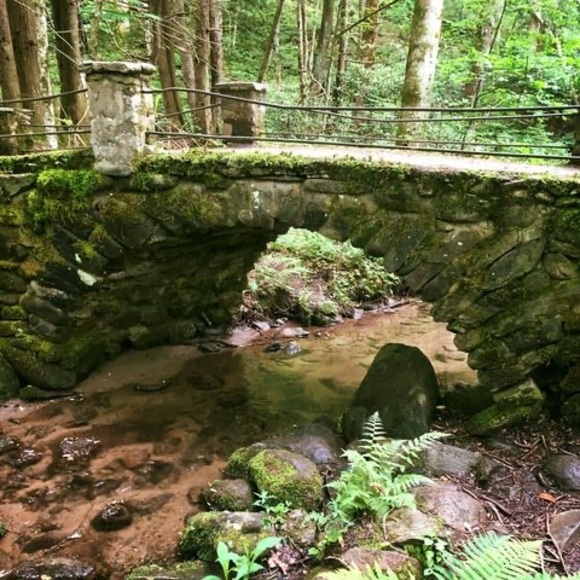 Profile Picture of Jenny Backstrand (@backstrand) on Poshmark