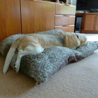 Profile Picture of Chris Carruthers (@chris-carruthers-4) on Quora