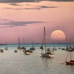 Profile Picture of Joseph Carpineto (@joseph.carpineto.9) on Facebook