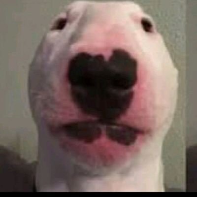Profile Picture of Briana Valeska Hidalgo (@valeska_briana) on Twitter