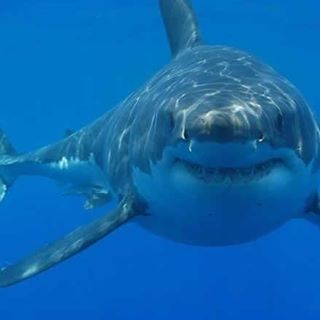 Profile Picture of David Guyon (@david.guyon.520) on Facebook