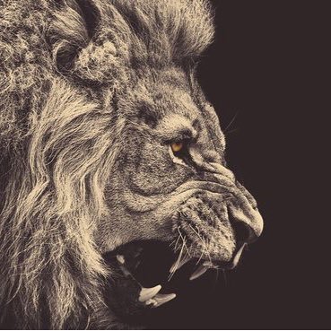 Profile Picture of Dominic Edwin (@DominicEdwin14) on Twitter